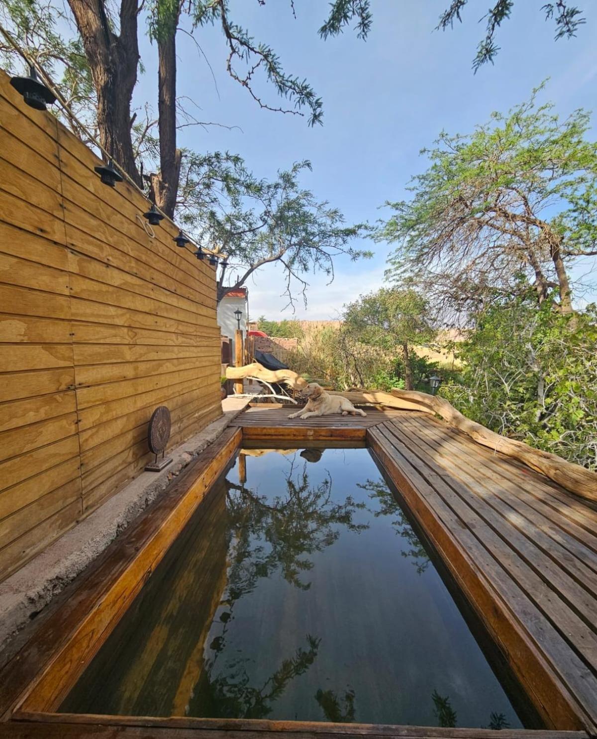 Hospedaje Rural Rincon de Quitor San Pedro de Atacama Exterior foto